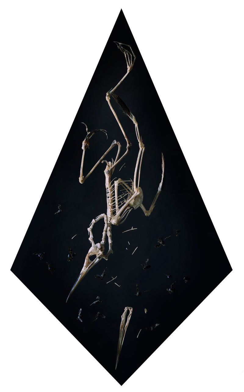 © Tara Sellios - Concido 2, 2019, 58x34 inches, inkjet print mounted to dibond