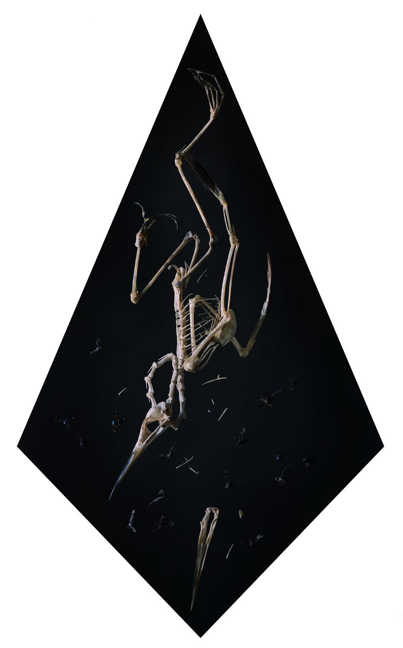 © Tara Sellios - Concido 2, 2019, 58x34 inches, inkjet print mounted to dibond