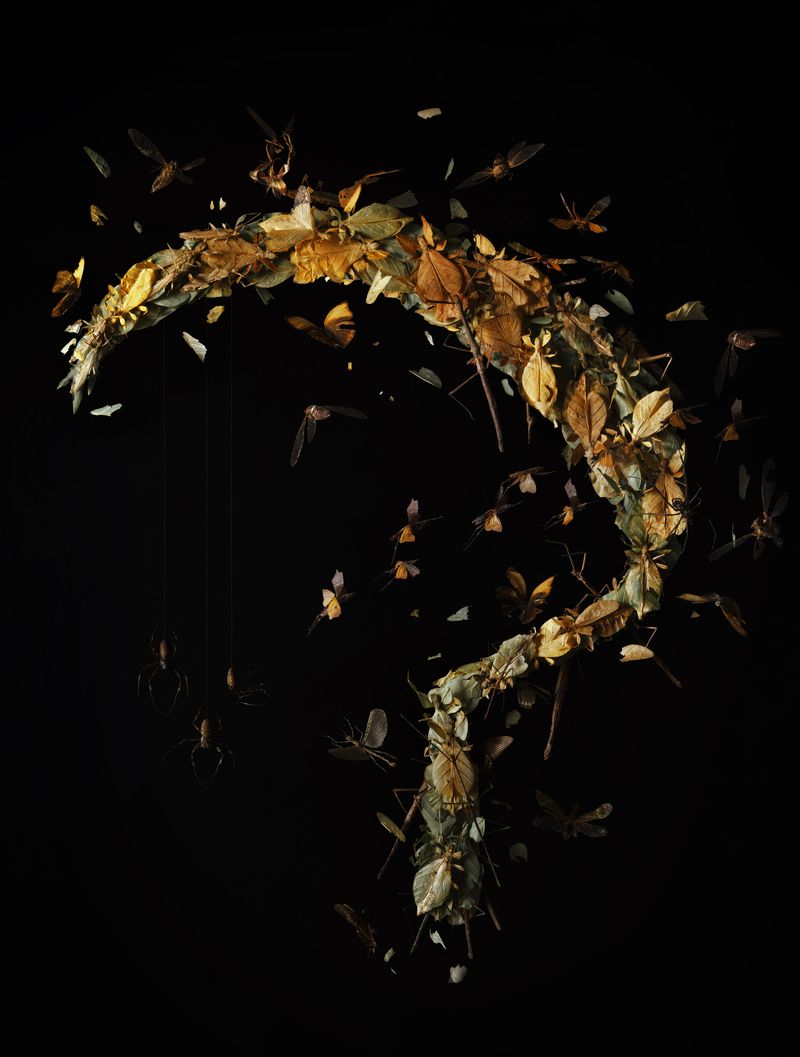 © Tara Sellios - Messis No.2 (Ask Now the Beasts), 2021, 60x45.5 inches, inkjet print from 8x10 negative