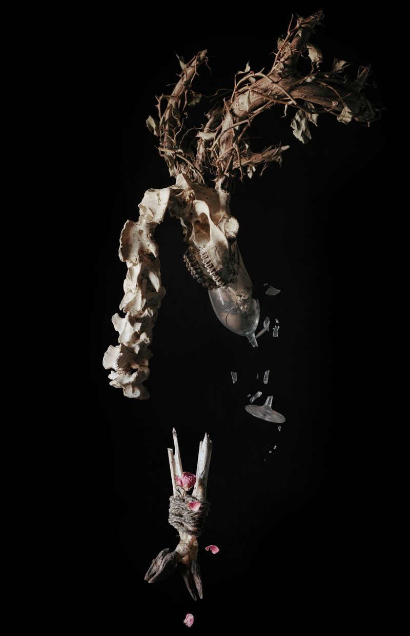 © Tara Sellios - Afflictio (Ask Now the Beasts), 2023, 40x26 inches, inkjet print from 8x10 negative