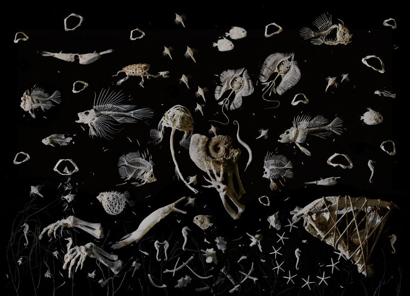 © Tara Sellios - Abyssus (Ask Now the Beasts), 2024, 60x85 inches, inkjet print from 8x10 negative