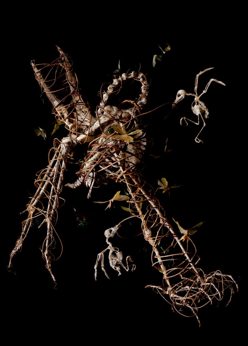 © Tara Sellios - Amans No. 1 (Ask Now the Beasts), 2022, 60x43 inches, inkjet print from 8x10 negative