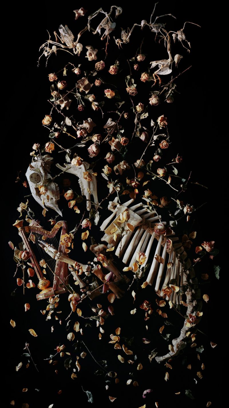 © Tara Sellios - Ascendo (Ask Now the Beasts), 2023, 75x42 inches, inkjet print from 8x10 negative