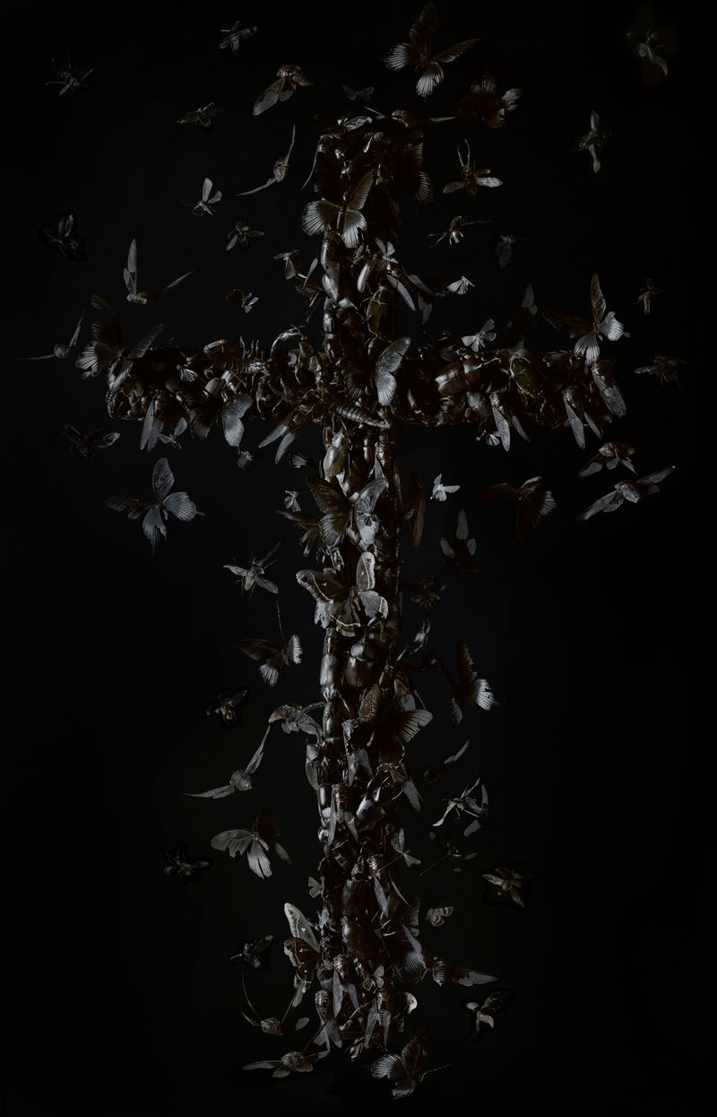 © Tara Sellios - Umbra (Ask Now the Beasts), 2024, 55x35 inches, inkjet print from 8x10 negative