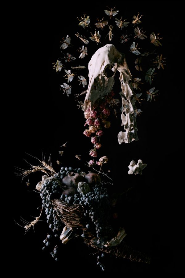 © Tara Sellios - Abundantia (Ask Now the Beasts), 2023, 40x26 inches, inkjet print from 8x10 negative