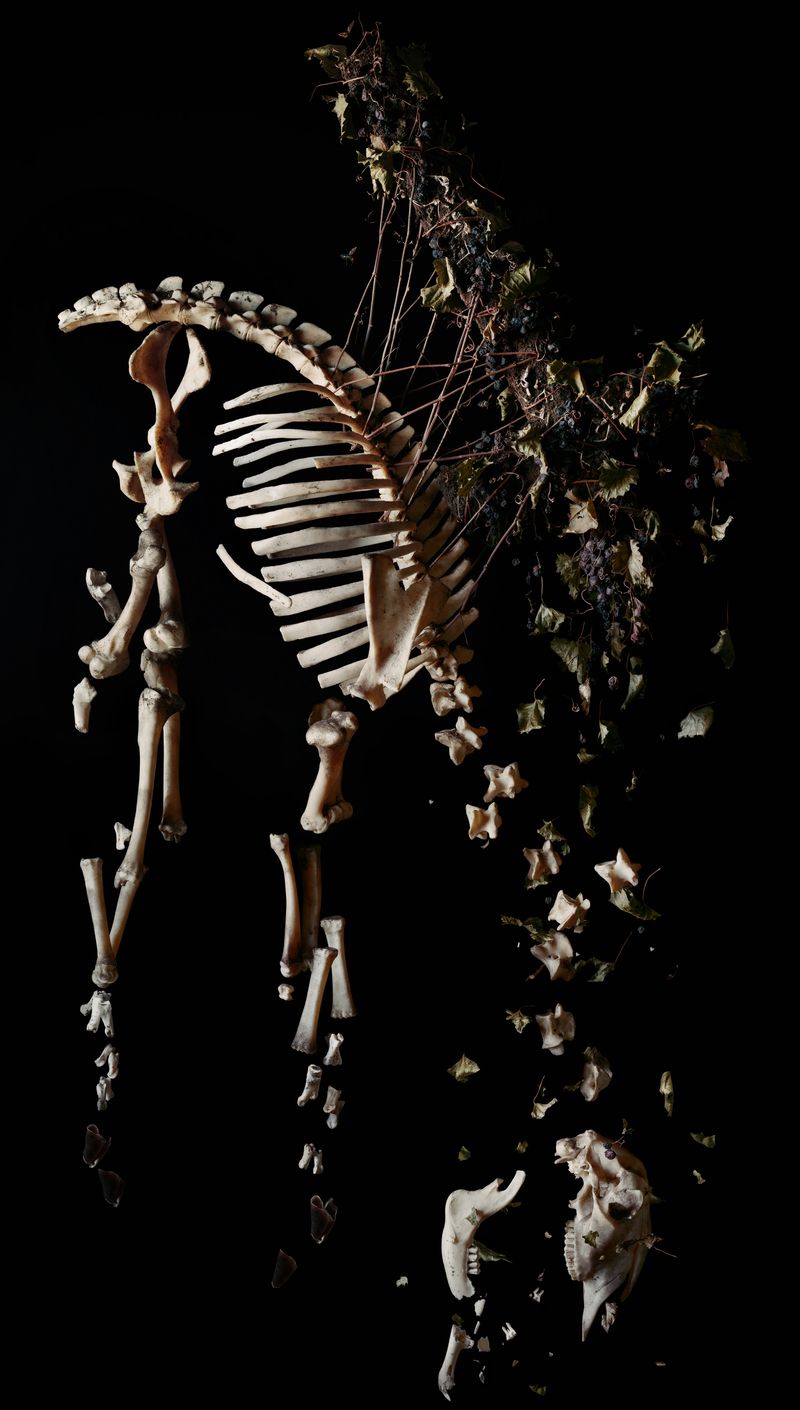 © Tara Sellios - Subtero (Ask Now the Beasts), 2023, 75x42 inches, inkjet print from 8x10 negative