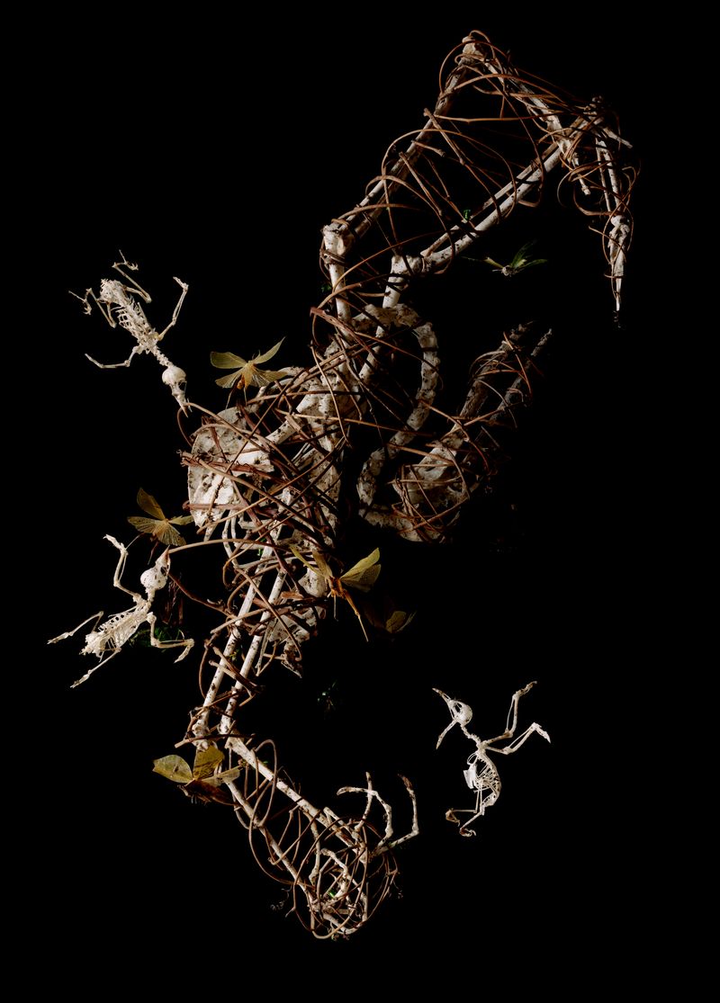 © Tara Sellios - Amans No. 3 (Ask Now the Beasts), 2022, 60x43 inches, inkjet print from 8x10 negative
