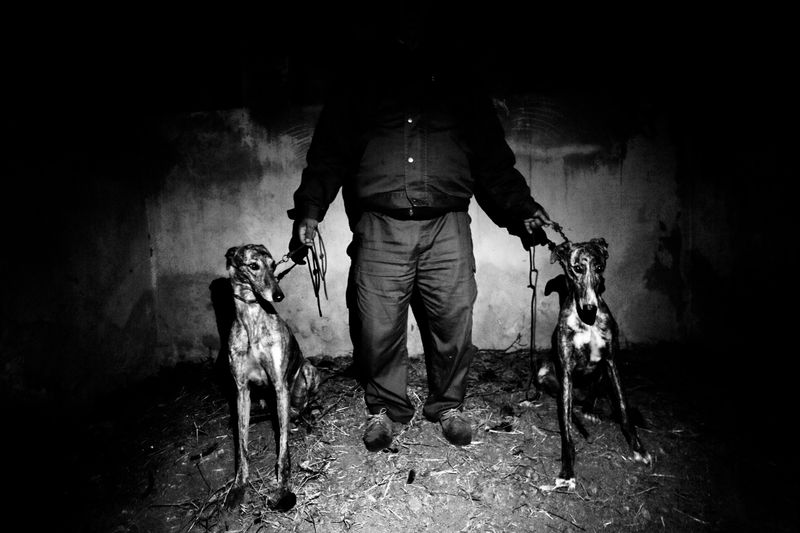 © Antonio González Caro - Image from the hunting shadows photography project