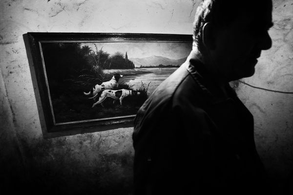 © Antonio González Caro - Image from the hunting shadows photography project