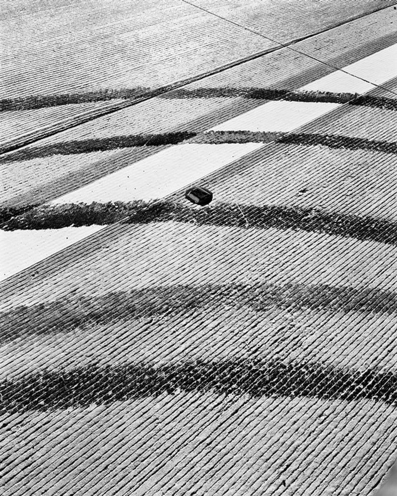 © Thomas Locke Hobbs - Image from the I know at a glance photography project