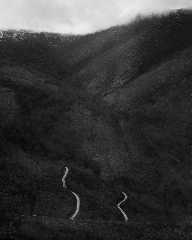 © Michael Swann - Image from the Noema photography project