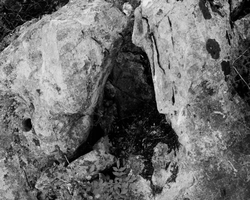 © Michael Swann - Image from the Noema photography project