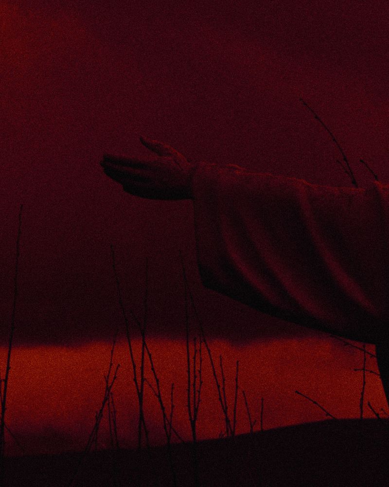 © Michael Swann - Image from the Noema photography project