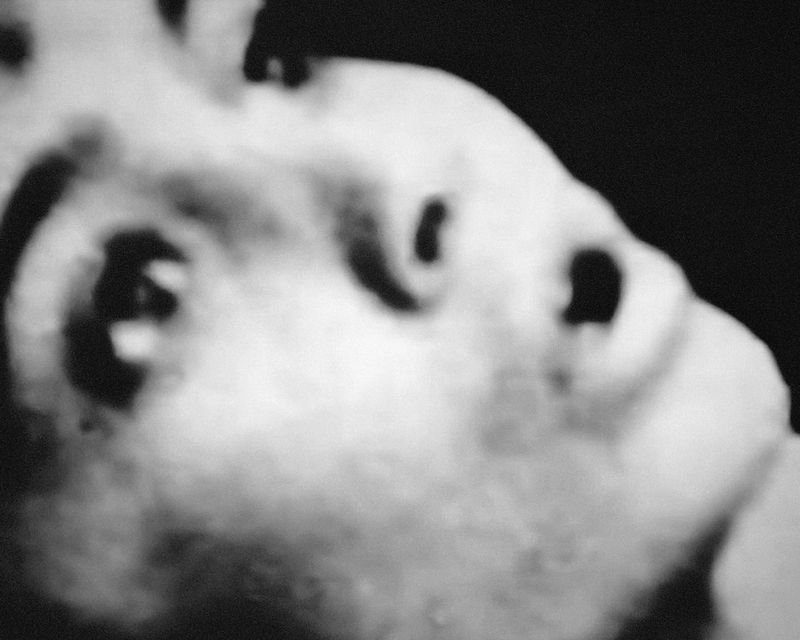 © Michael Swann - Image from the Noema photography project