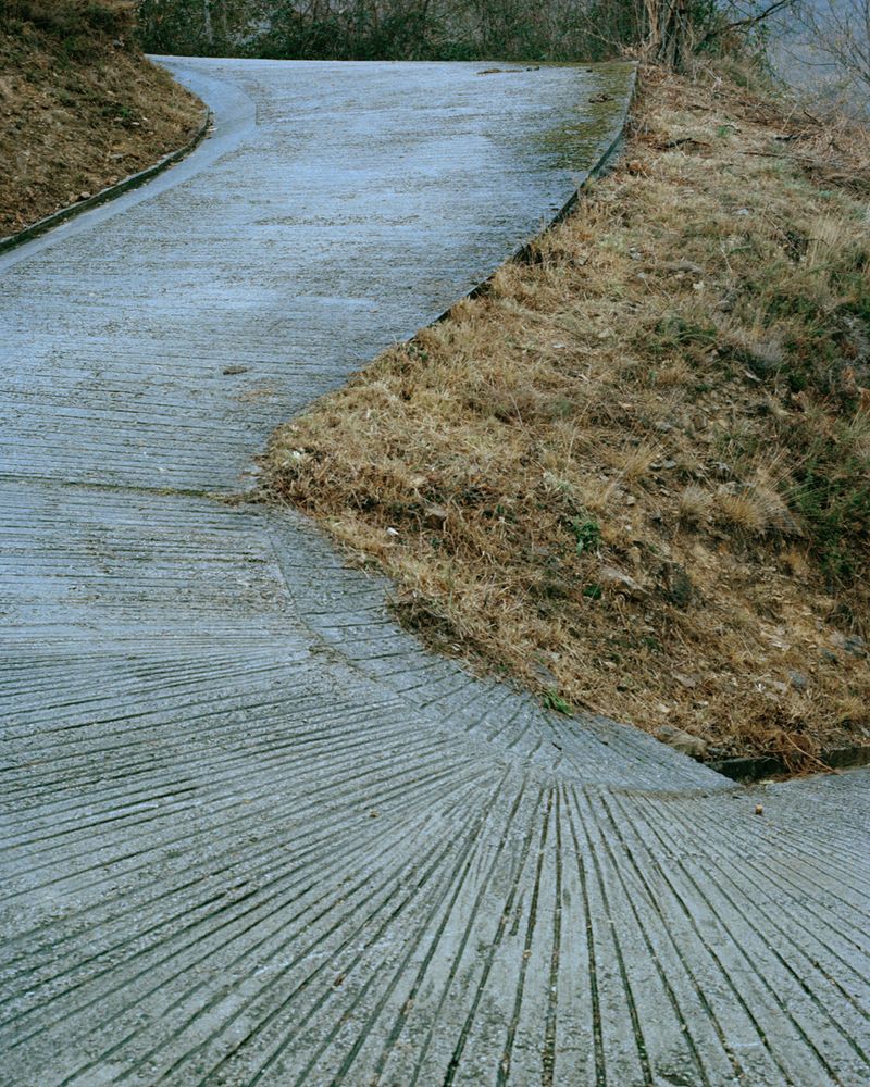 © Michael Swann - Image from the Noema photography project