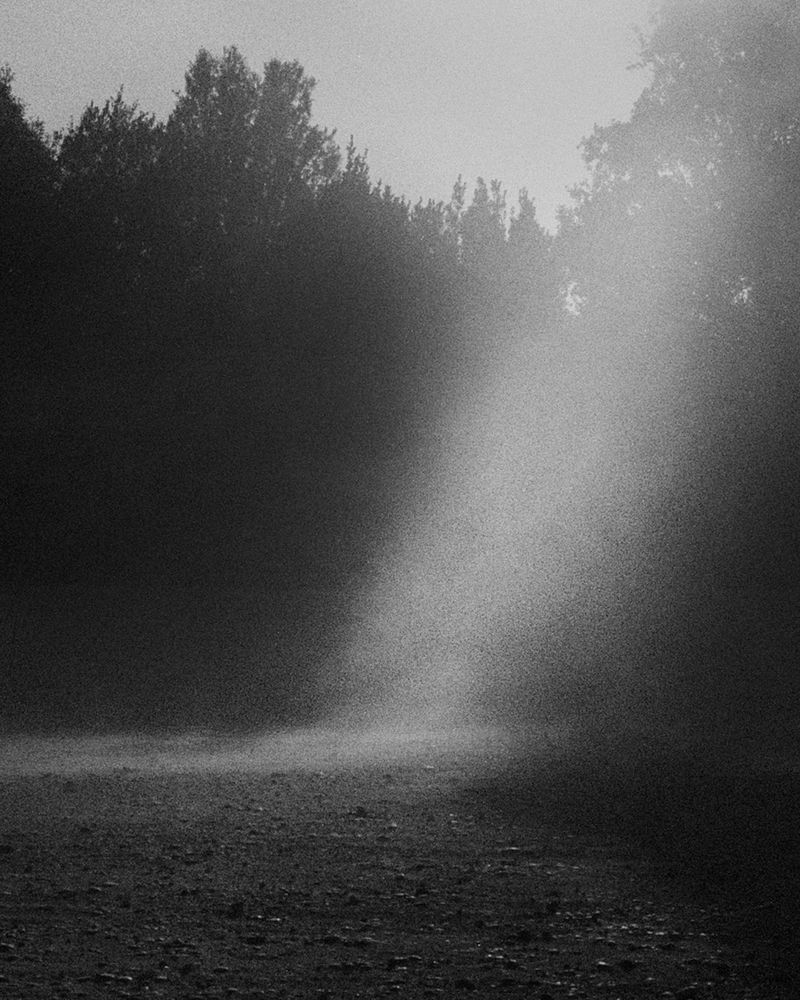 © Michael Swann - Image from the Noema photography project