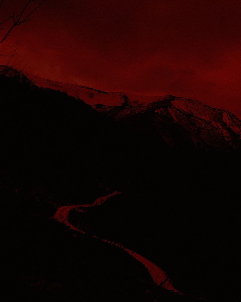 © Michael Swann - Image from the Noema photography project