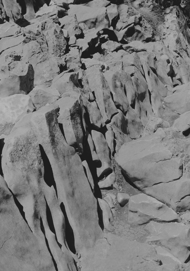 © Michael Swann - Image from the Noema photography project