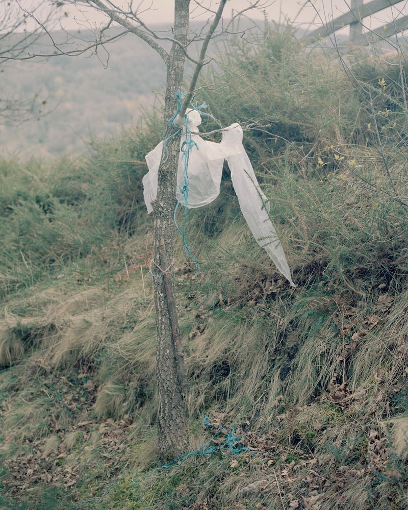 © Michael Swann - Image from the Noema photography project