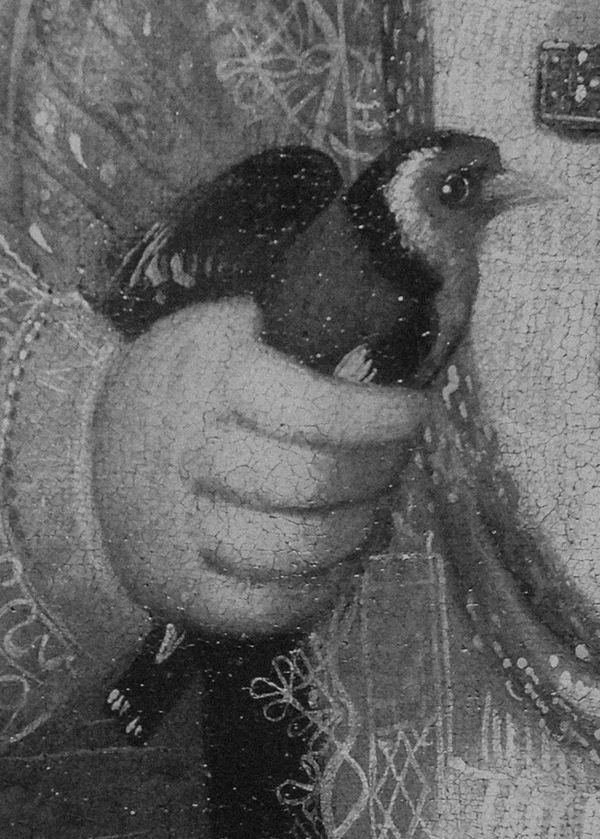 © Michael Swann - Image from the An Ascension photography project