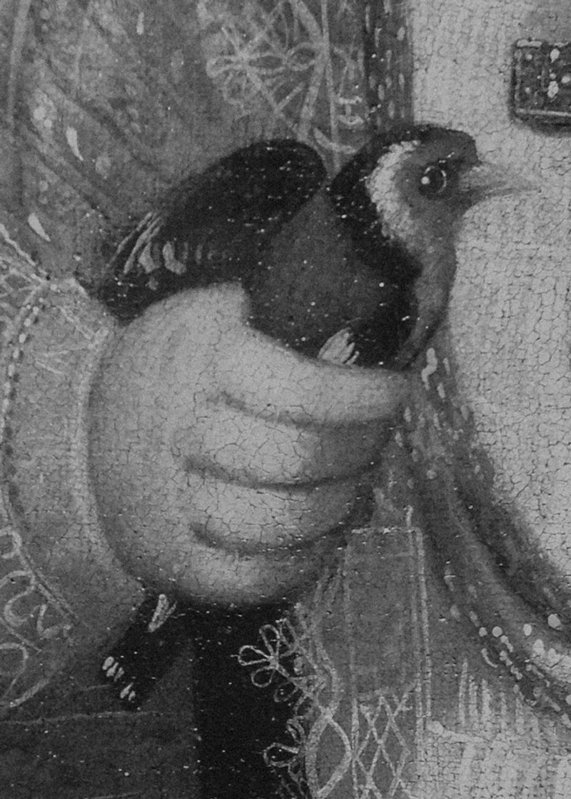 © Michael Swann - Image from the An Ascension photography project