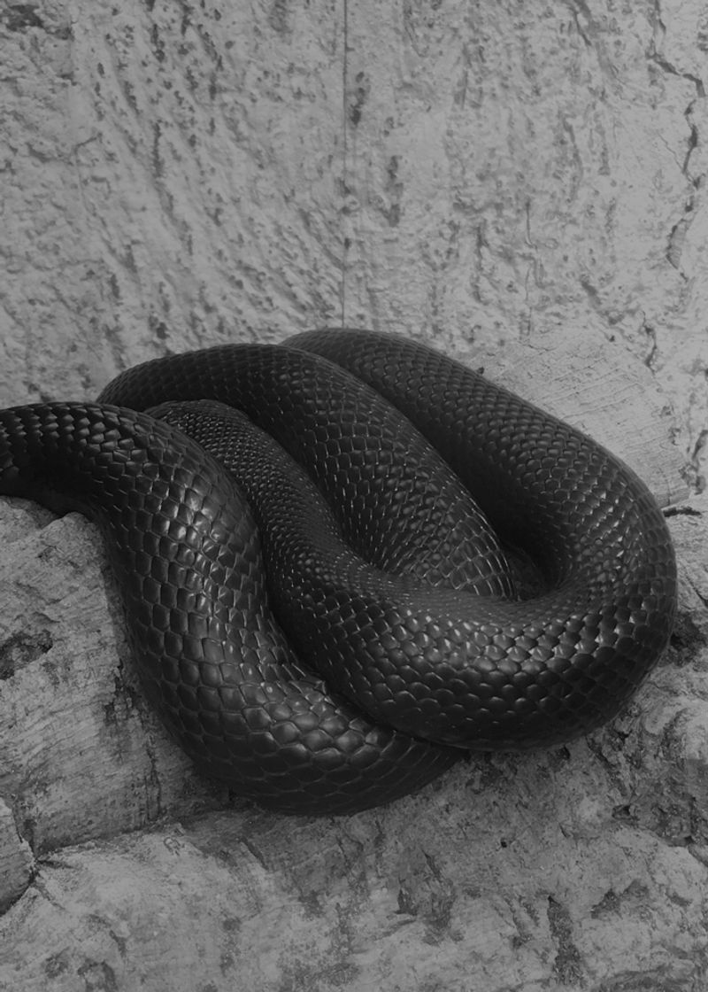 © Michael Swann - Image from the An Ascension photography project