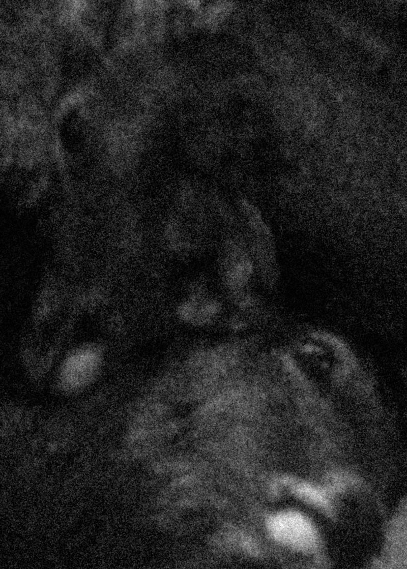 © Michael Swann - Image from the An Ascension photography project