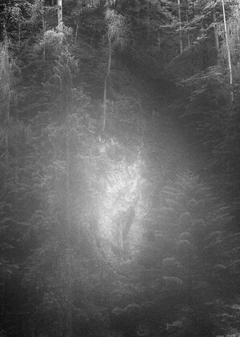 © Michael Swann - Image from the An Ascension photography project