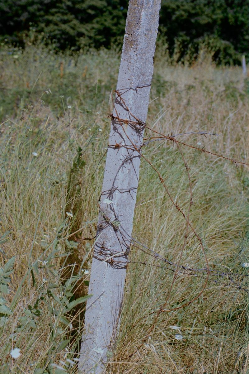 © Michael Swann - Image from the Noema photography project