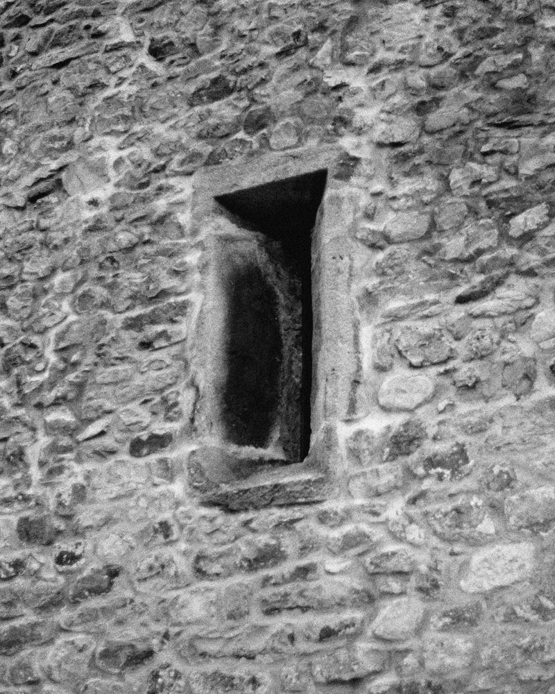 © Michael Swann - Image from the Noema photography project