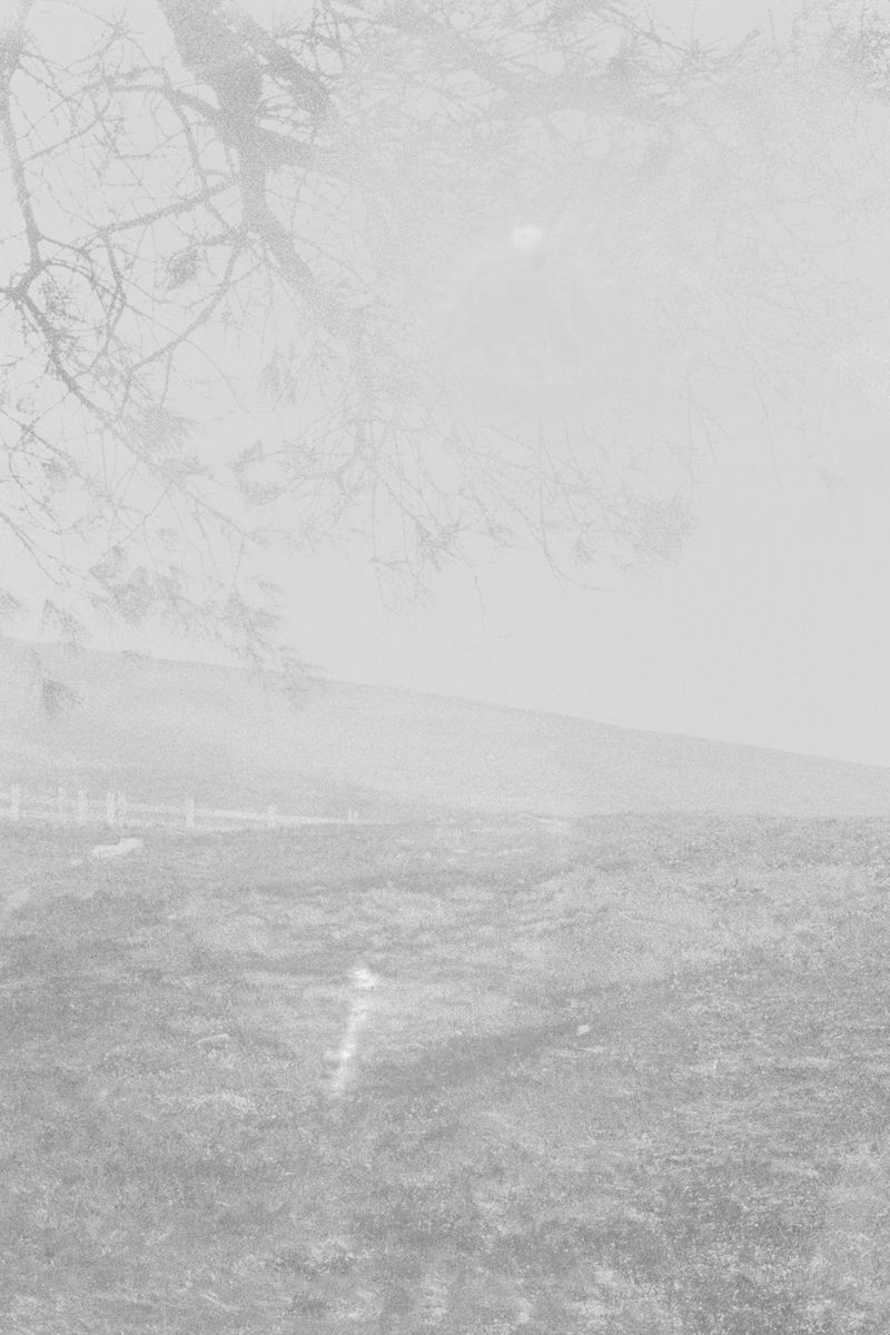 © Michael Swann - Image from the Noema photography project