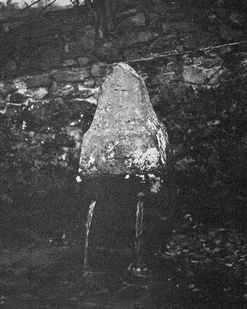 © Michael Swann - Image from the Noema photography project