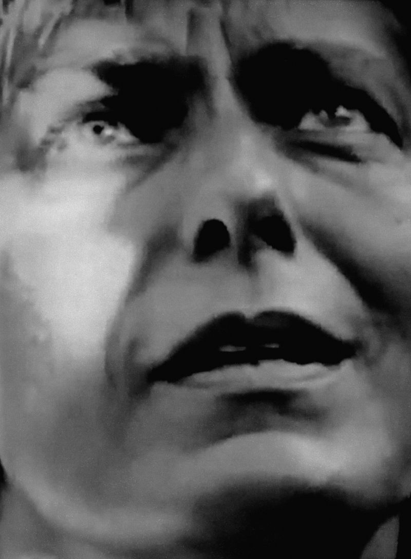 © Michael Swann - Image from the Noema photography project