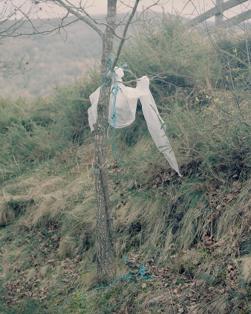 © Michael Swann - Image from the Noema photography project