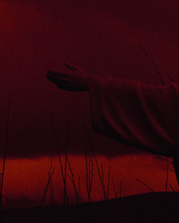 © Michael Swann - Image from the Noema photography project