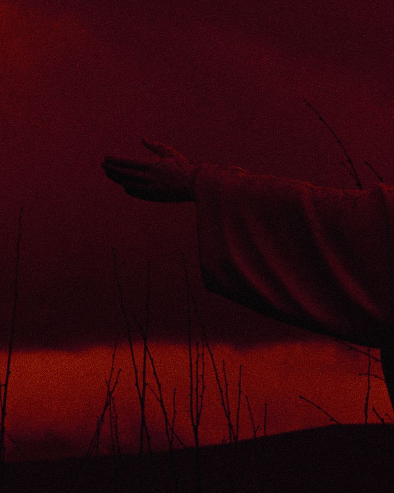 © Michael Swann - Image from the Noema photography project