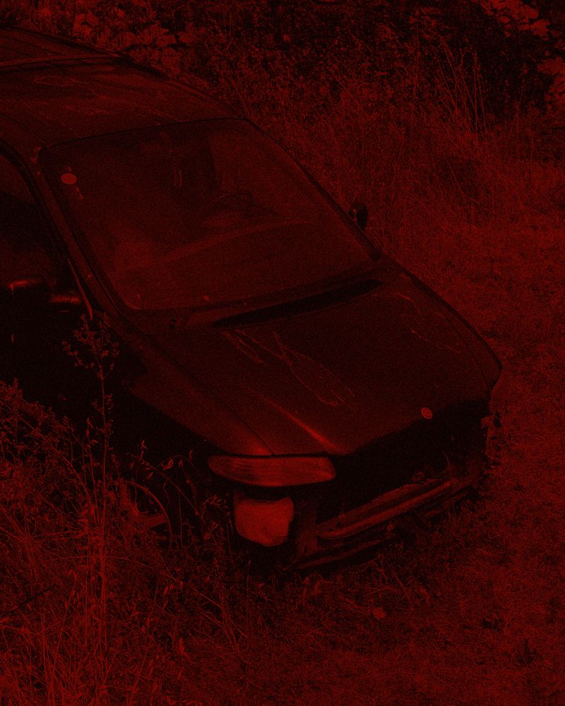 © Michael Swann - Image from the Noema photography project