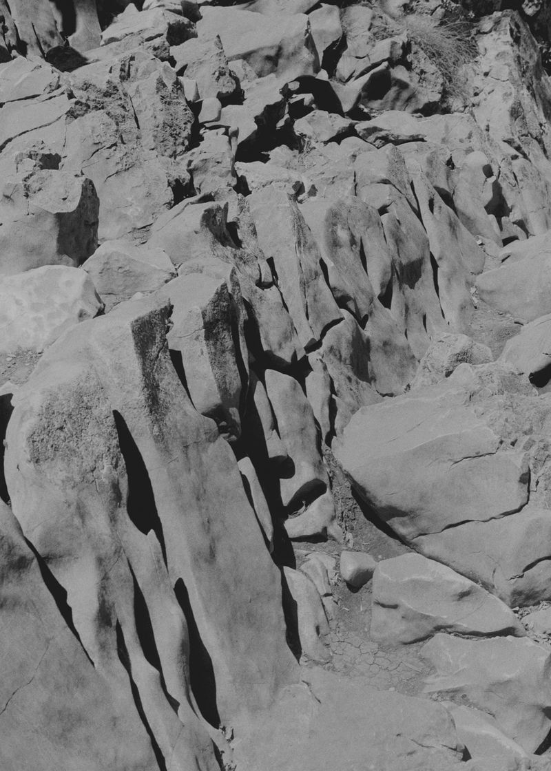 © Michael Swann - Image from the Noema photography project