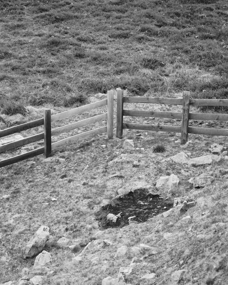 © Michael Swann - Image from the Noema photography project