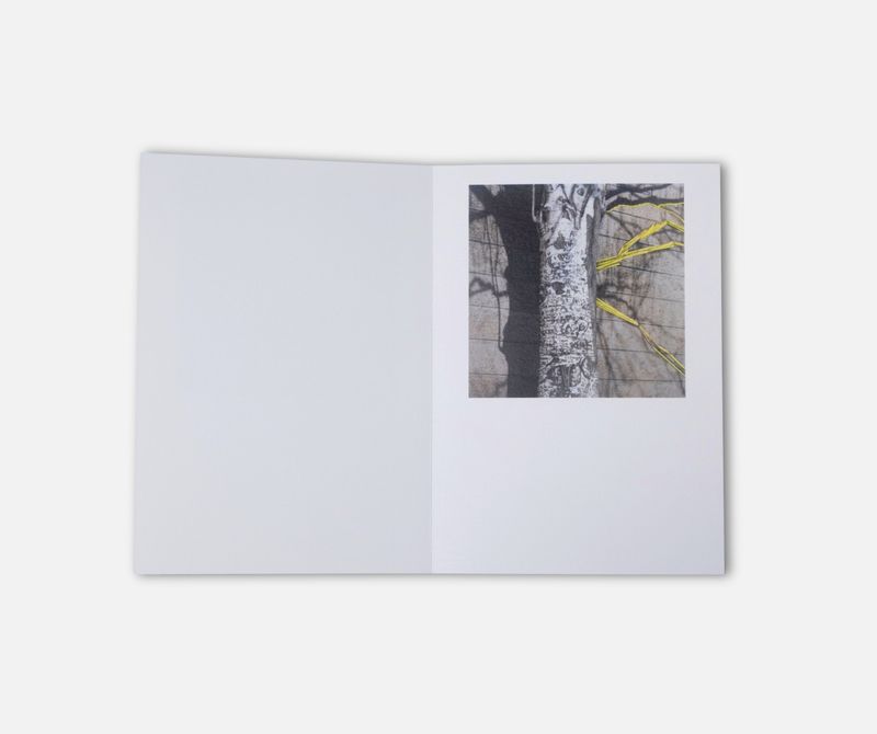 Image from a project on PhMuseum