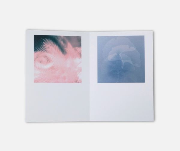 Image from a project on PhMuseum