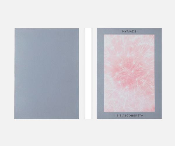 Image from a project on PhMuseum