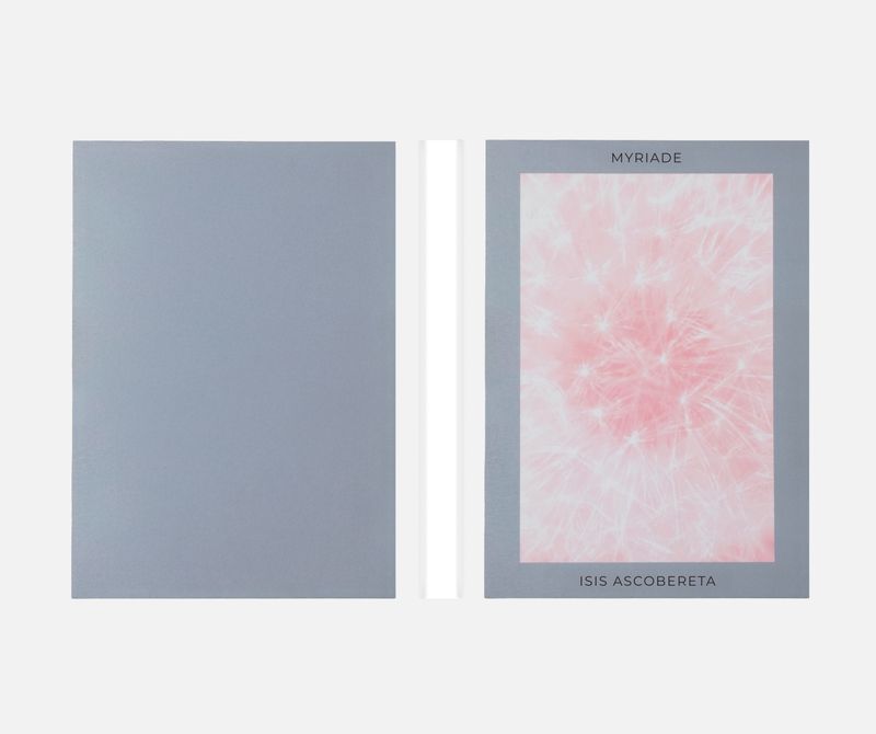 Image from a project on PhMuseum