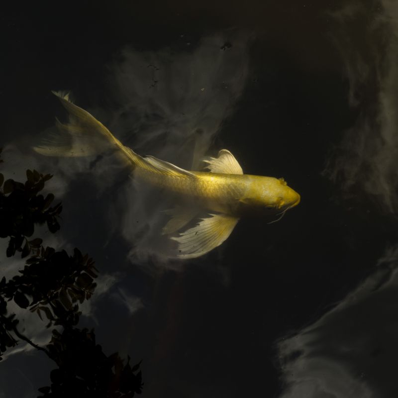 © Isis Ascobereta - Image from the Every Day, Eternity photography project