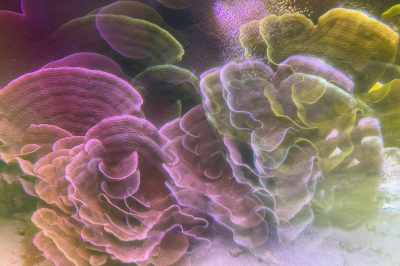 © Isis Ascobereta - Image from the Every Day, Eternity photography project