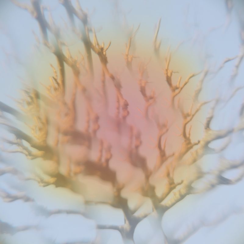 © Isis Ascobereta - Image from the Every Day, Eternity photography project