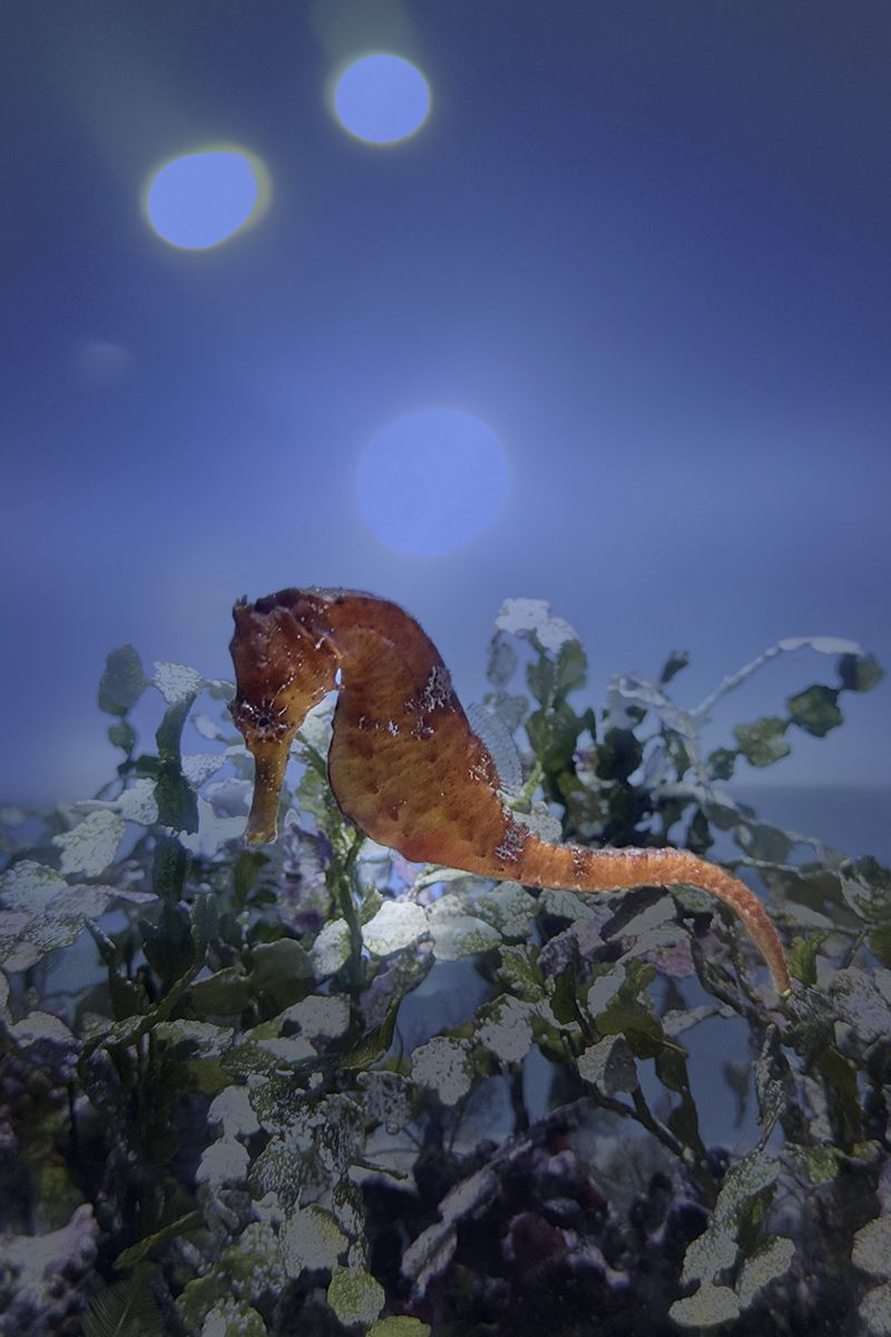 © Isis Ascobereta - Image from the Every Day, Eternity photography project