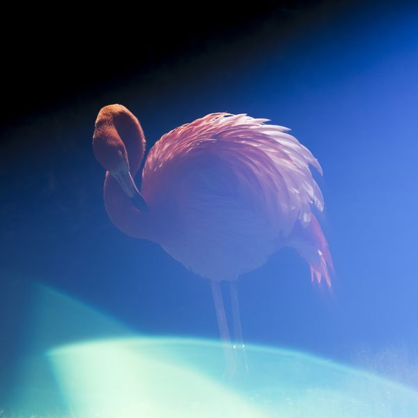 © Isis Ascobereta - Image from the Every Day, Eternity photography project