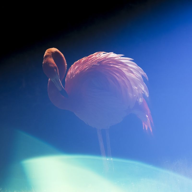 © Isis Ascobereta - Image from the Every Day, Eternity photography project