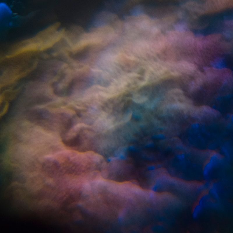 © Isis Ascobereta - Image from the Every Day, Eternity photography project